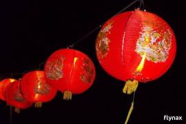 ASIAN LANTERN TABLE/DESK HOME DECOR LAMP